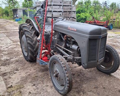 WhatsApp Image 2024-06-18 at 17.40.27 (1)