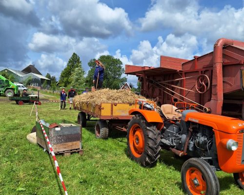 WhatsApp Image 2024-07-15 at 18.49.00