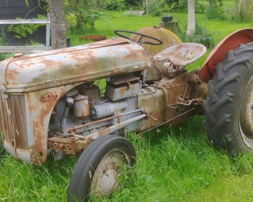 WhatsApp Image 2024-07-15 at 19.50.52 (10)